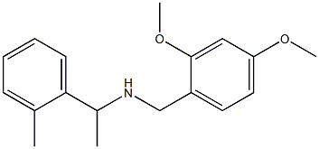  [(2,4-dimethoxyphenyl)methyl][1-(2-methylphenyl)ethyl]amine