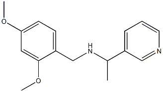 [(2,4-dimethoxyphenyl)methyl][1-(pyridin-3-yl)ethyl]amine