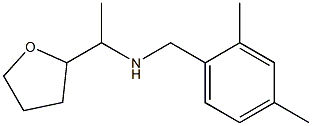 [(2,4-dimethylphenyl)methyl][1-(oxolan-2-yl)ethyl]amine Structure