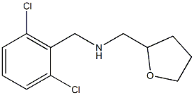 [(2,6-dichlorophenyl)methyl](oxolan-2-ylmethyl)amine 结构式