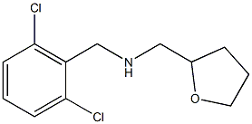 [(2,6-dichlorophenyl)methyl](oxolan-2-ylmethyl)amine