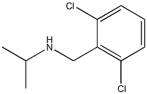 [(2,6-dichlorophenyl)methyl](propan-2-yl)amine 化学構造式