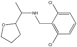 [(2,6-dichlorophenyl)methyl][1-(oxolan-2-yl)ethyl]amine,,结构式