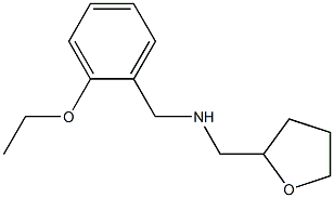 [(2-ethoxyphenyl)methyl](oxolan-2-ylmethyl)amine