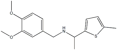 [(3,4-dimethoxyphenyl)methyl][1-(5-methylthiophen-2-yl)ethyl]amine,,结构式