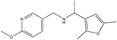 [1-(2,5-dimethylfuran-3-yl)ethyl][(6-methoxypyridin-3-yl)methyl]amine