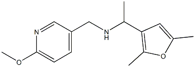  [1-(2,5-dimethylfuran-3-yl)ethyl][(6-methoxypyridin-3-yl)methyl]amine