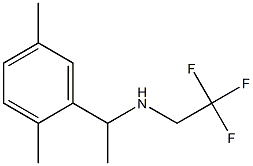 [1-(2,5-dimethylphenyl)ethyl](2,2,2-trifluoroethyl)amine Structure