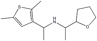 [1-(2,5-dimethylthiophen-3-yl)ethyl][1-(oxolan-2-yl)ethyl]amine Structure