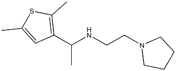  [1-(2,5-dimethylthiophen-3-yl)ethyl][2-(pyrrolidin-1-yl)ethyl]amine