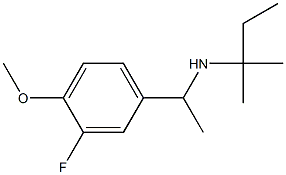 [1-(3-fluoro-4-methoxyphenyl)ethyl](2-methylbutan-2-yl)amine 化学構造式