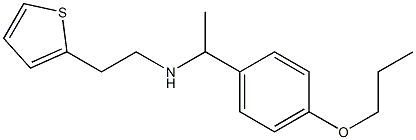 [1-(4-propoxyphenyl)ethyl][2-(thiophen-2-yl)ethyl]amine