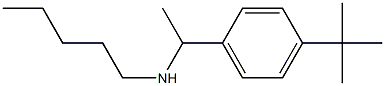 [1-(4-tert-butylphenyl)ethyl](pentyl)amine Structure