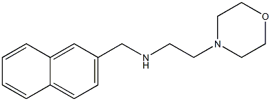 [2-(morpholin-4-yl)ethyl](naphthalen-2-ylmethyl)amine Structure