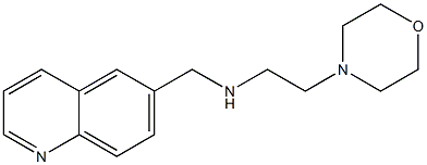 [2-(morpholin-4-yl)ethyl](quinolin-6-ylmethyl)amine