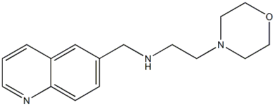 [2-(morpholin-4-yl)ethyl](quinolin-6-ylmethyl)amine Structure