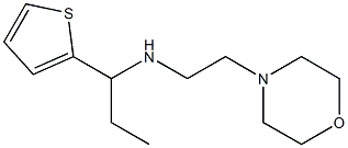 [2-(morpholin-4-yl)ethyl][1-(thiophen-2-yl)propyl]amine Struktur