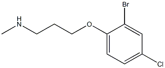 [3-(2-bromo-4-chlorophenoxy)propyl](methyl)amine