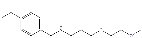 [3-(2-methoxyethoxy)propyl]({[4-(propan-2-yl)phenyl]methyl})amine,,结构式