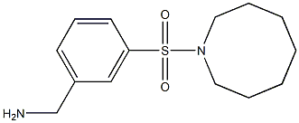 [3-(azocane-1-sulfonyl)phenyl]methanamine 结构式