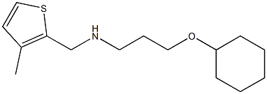 [3-(cyclohexyloxy)propyl][(3-methylthiophen-2-yl)methyl]amine,,结构式