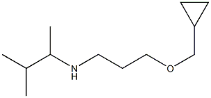 [3-(cyclopropylmethoxy)propyl](3-methylbutan-2-yl)amine,,结构式