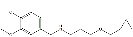 [3-(cyclopropylmethoxy)propyl][(3,4-dimethoxyphenyl)methyl]amine