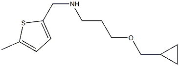 [3-(cyclopropylmethoxy)propyl][(5-methylthiophen-2-yl)methyl]amine 结构式