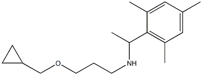 [3-(cyclopropylmethoxy)propyl][1-(2,4,6-trimethylphenyl)ethyl]amine|