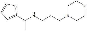 [3-(morpholin-4-yl)propyl][1-(thiophen-2-yl)ethyl]amine|