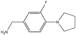 [3-fluoro-4-(pyrrolidin-1-yl)phenyl]methanamine Struktur