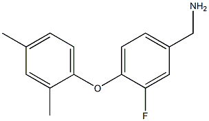 [4-(2,4-dimethylphenoxy)-3-fluorophenyl]methanamine 结构式