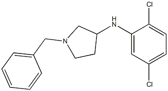 1-benzyl-N-(2,5-dichlorophenyl)pyrrolidin-3-amine Struktur