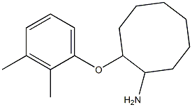 2-(2,3-dimethylphenoxy)cyclooctan-1-amine