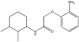 2-(2-aminophenoxy)-N-(2,3-dimethylcyclohexyl)acetamide Structure