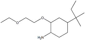 2-(2-ethoxyethoxy)-4-(2-methylbutan-2-yl)cyclohexan-1-amine Structure