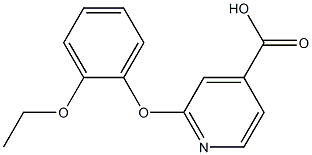 2-(2-ethoxyphenoxy)pyridine-4-carboxylic acid 结构式