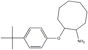 2-(4-tert-butylphenoxy)cyclooctan-1-amine,,结构式