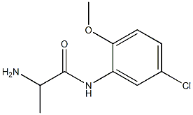 2-amino-N-(5-chloro-2-methoxyphenyl)propanamide 化学構造式