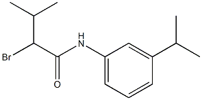 2-bromo-3-methyl-N-[3-(propan-2-yl)phenyl]butanamide
