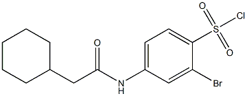 2-bromo-4-(2-cyclohexylacetamido)benzene-1-sulfonyl chloride Structure