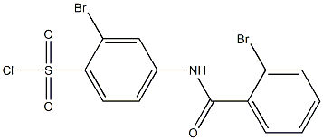 2-bromo-4-[(2-bromobenzene)amido]benzene-1-sulfonyl chloride|