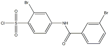 2-bromo-4-[(3-bromobenzene)amido]benzene-1-sulfonyl chloride Structure