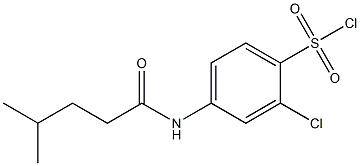 2-chloro-4-(4-methylpentanamido)benzene-1-sulfonyl chloride,,结构式