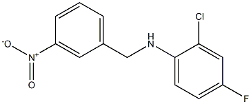 2-chloro-4-fluoro-N-[(3-nitrophenyl)methyl]aniline 结构式