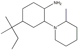 4-(2-methylbutan-2-yl)-2-(2-methylpiperidin-1-yl)cyclohexan-1-amine Struktur