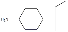 4-(2-methylbutan-2-yl)cyclohexan-1-amine