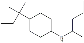 4-(2-methylbutan-2-yl)-N-(pentan-2-yl)cyclohexan-1-amine|