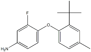 4-(2-tert-butyl-4-methylphenoxy)-3-fluoroaniline|