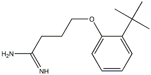 4-(2-tert-butylphenoxy)butanimidamide Struktur